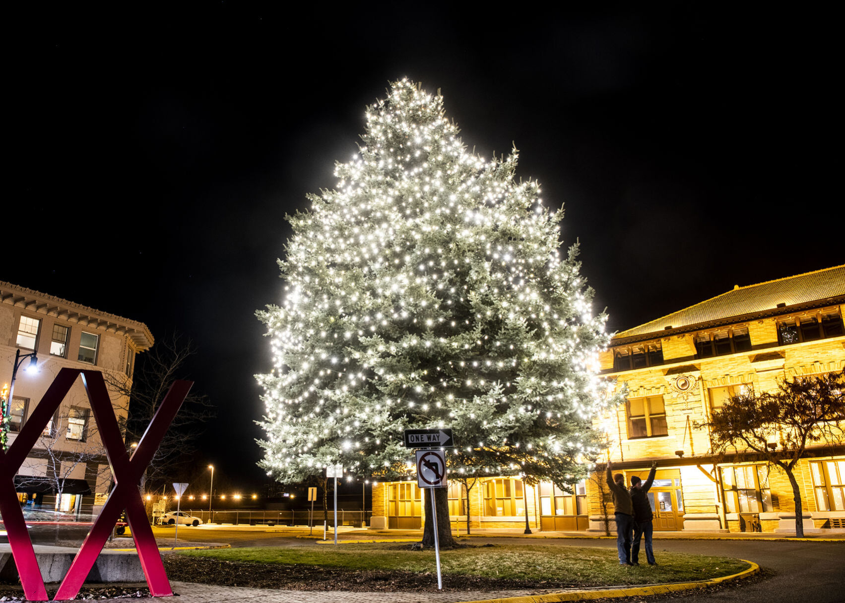 122020-mis-ter-tree-now.jpg